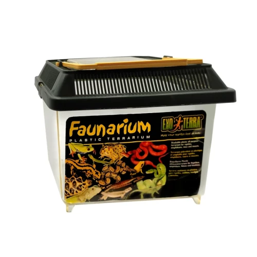 faunarium.webp