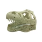Czaszka t-rex kryjówka Repti Planet