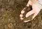 Substrat ziemia do terrarium czerwona Natural Habitat Earth Repti Planet