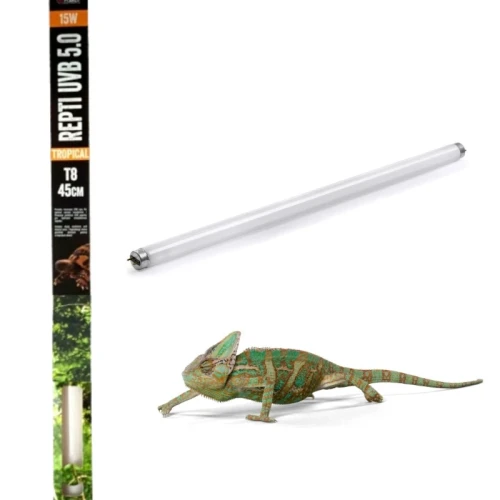 45cm_tropical.webp
