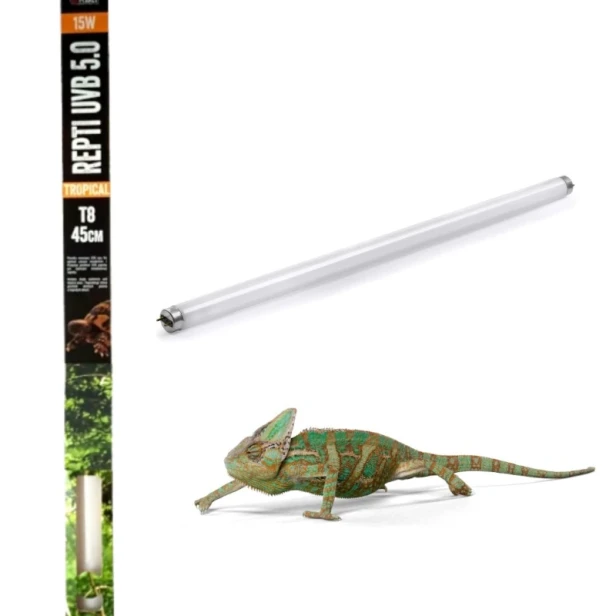 45cm_tropical.webp