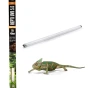 45cm_tropical.webp