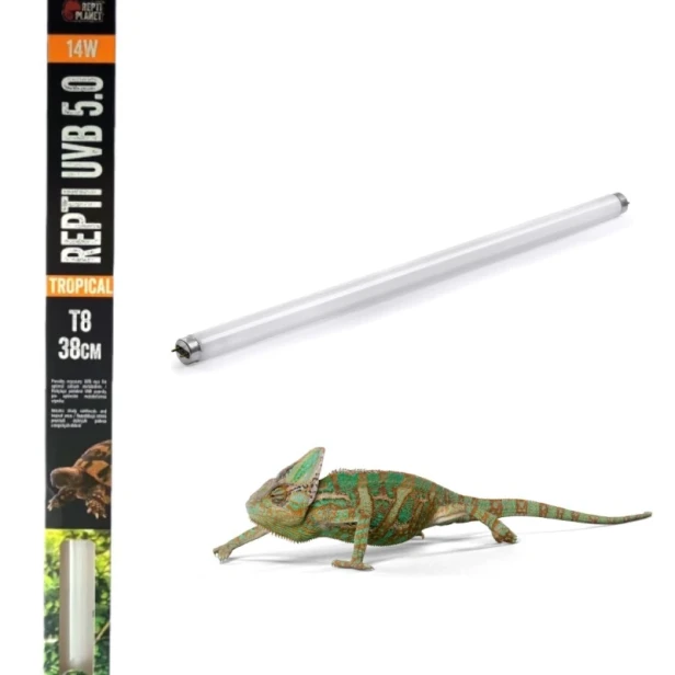 38cm_tropical.webp