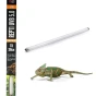 38cm_tropical.webp
