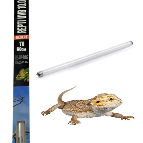 Świetlówka UVB T8 60cm 20W REPTI PLANET