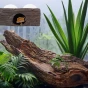 Kryjówka wisząca z przyssawkami 15x6,5x9cm pień Repti Planet