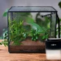 System zraszania do terrarium 2 dysze Mini Rain Repti Planet