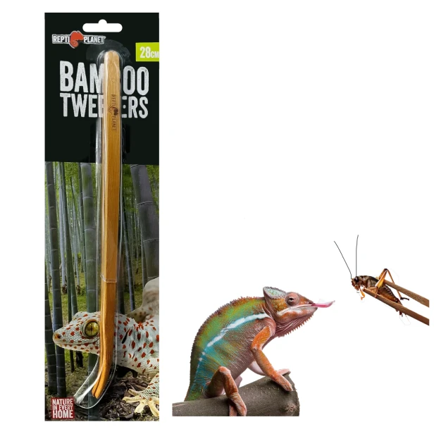 Pinceta bambusowa  28 cm Repti Planet