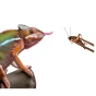 Pinceta bambusowa  28 cm Repti Planet