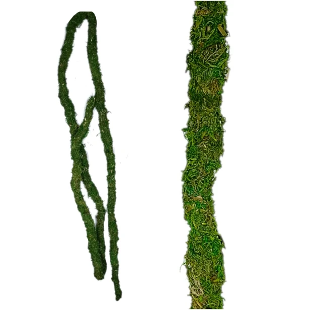 Liana z mchem do terrarium tropikalnego 205cm