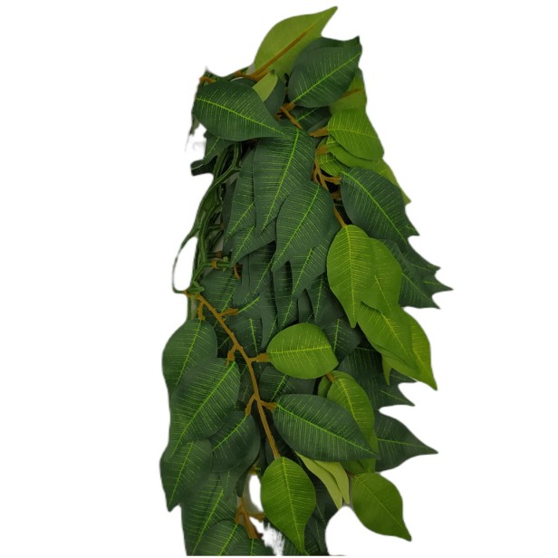 roźlina-Exo-terra-ficus-L.jpg