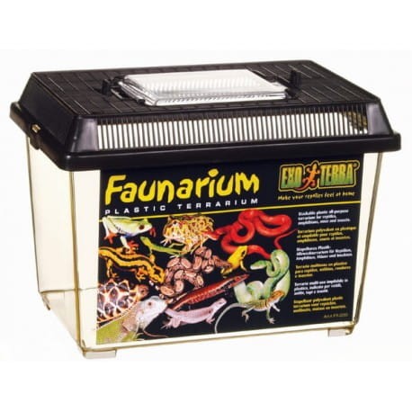 faunarium-30x195x195cm.jpg
