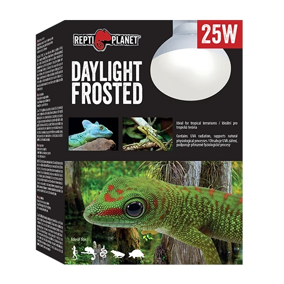 Frosted-FINAL.webp