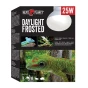 Frosted-FINAL.webp