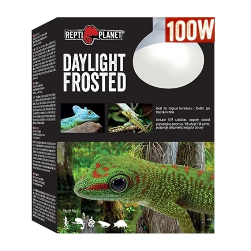 Żarówka_frosted_100W.webp