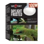Żarówka_frosted_100W.webp