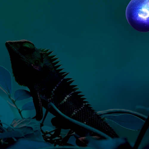 Night_heat_lamp_jaszczurka.webp