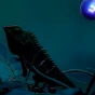 Night_heat_lamp_jaszczurka.webp