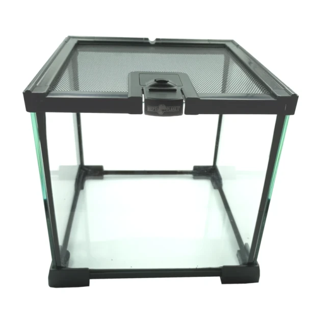 terrarium_20x20x20.webp