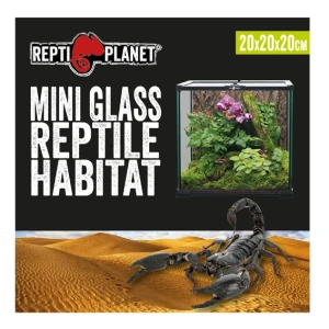 Terrarium 20x20x20 REPTI PLANET